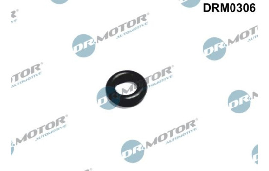 Seal ring, Atomizer/Injector