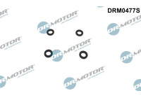 Seal ring, Atomizer/Injector