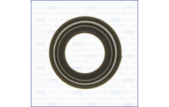 Seal ring, Atomizer/Injector