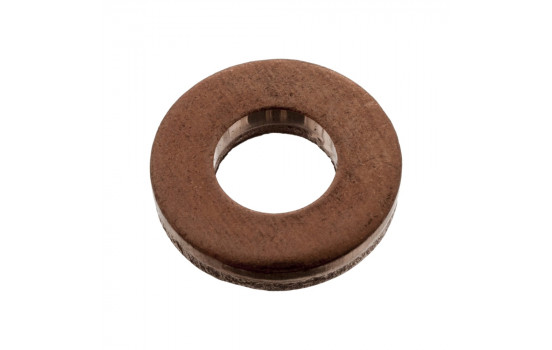 Seal Ring, injector 100543 FEBI