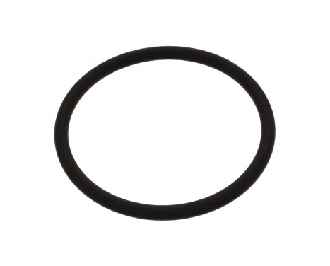 Seal Ring, injector shaft 44674 FEBI