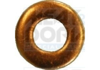 Seal ring, injector shaft