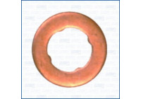 Seal Ring, injector