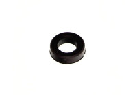 Seal ring, nozzle holder