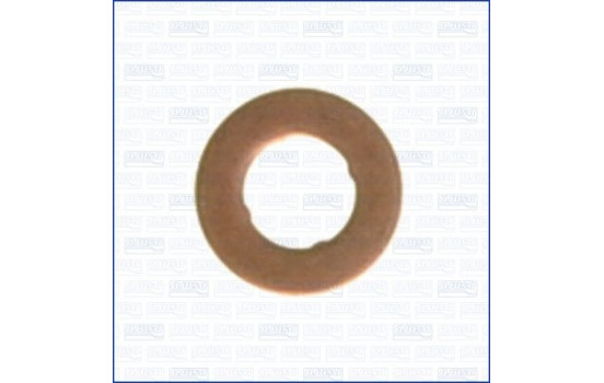 Seal ring, nozzle holder