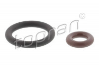 Sealing ring, Atomizer/Injector