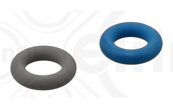 Sealing ring, Atomizer/Injector