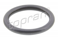 Sealing ring, Injector/Nozzle