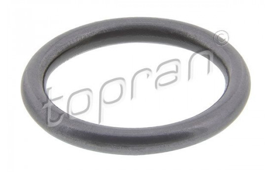 Sealing ring, Injector/Nozzle