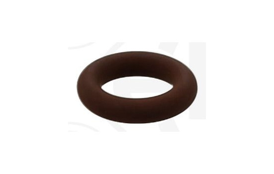 Sealing ring, Injector/Nozzle