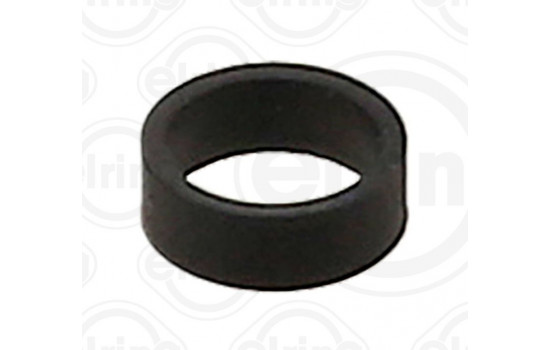 Sealing ring, Injector/Nozzle