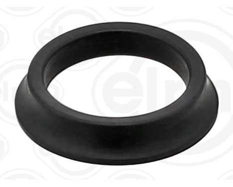 Sealing ring, Injector/Nozzle