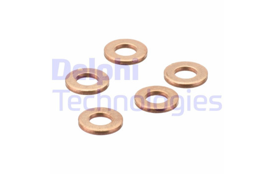 Sealing ring, Injector/Nozzle