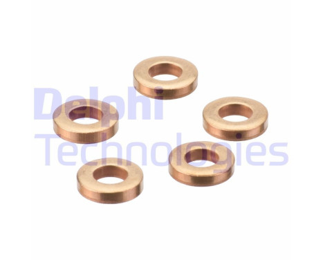 Sealing ring, Injector/Nozzle