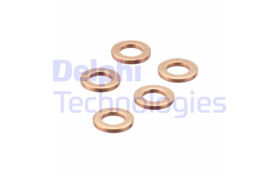 Sealing ring, Injector/Nozzle