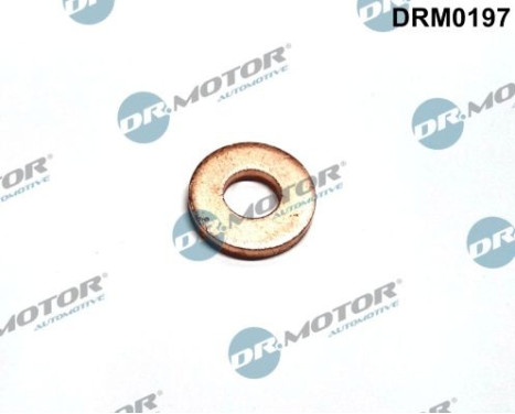 Sealing ring, Injector/Nozzle