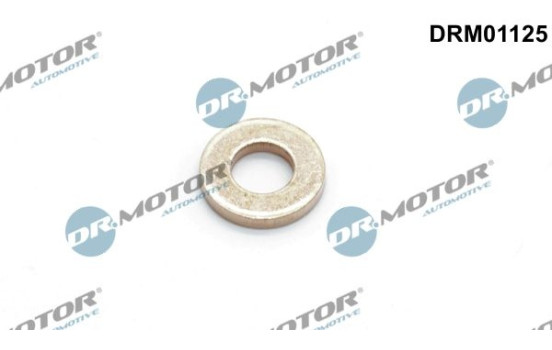 Sealing ring, Injector/Nozzle