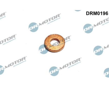 Sealing ring, Injector/Nozzle