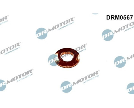 Sealing ring, Injector/Nozzle