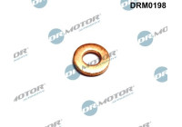 Sealing ring, Injector/Nozzle