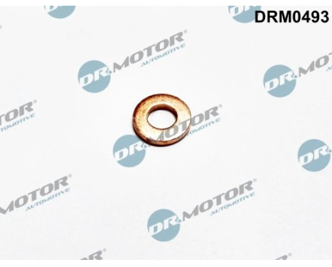 Sealing ring, Injector/Nozzle