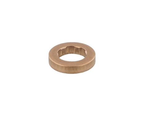 Sealing ring, Injector/Nozzle