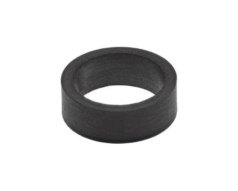 Sealing ring, Injector/Nozzle