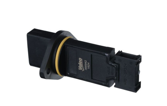 Air mass meter