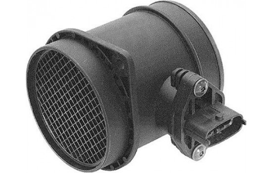 Air mass meter