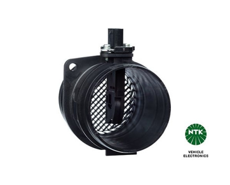 Air mass meter