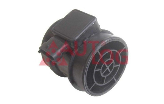 Air mass meter