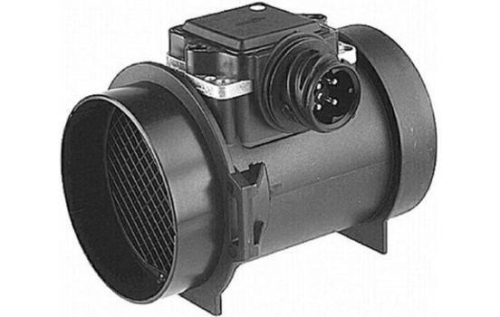 Air mass meter