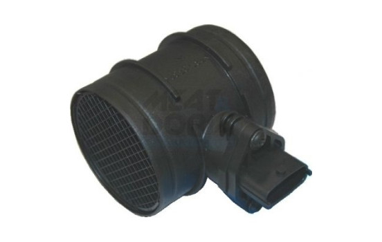 Air mass meter