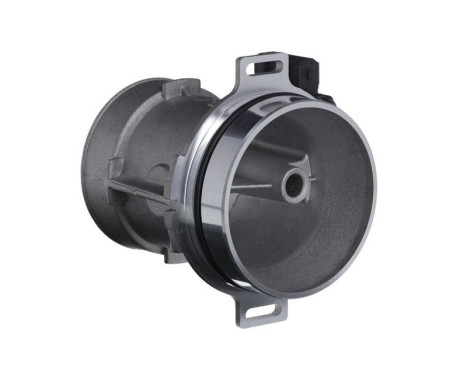 Air mass meter