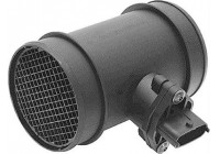 Air Mass Sensor