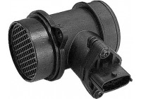 Air Mass Sensor