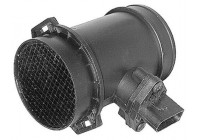 Air Mass Sensor