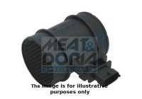 Air Mass Sensor