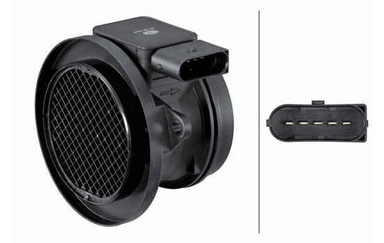 Air Mass Sensor