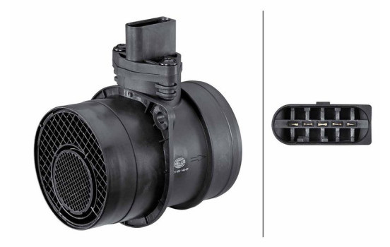 Air Mass Sensor