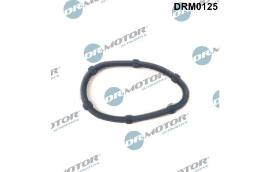 Gasket, engine crankcase ventilation