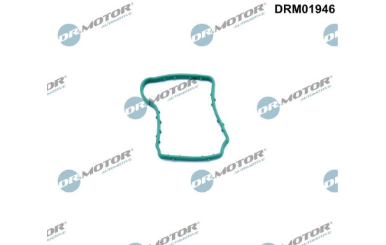 Gasket, engine crankcase ventilation