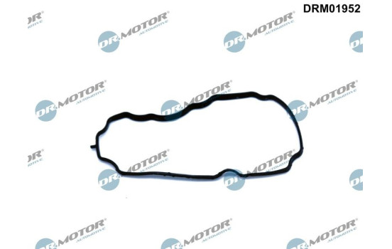Gasket, engine crankcase ventilation