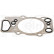 Gasket, cylinder head 247.491 Elring