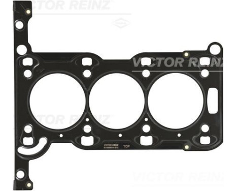 Gasket, cylinder head 61-33495-00 Viktor Reinz