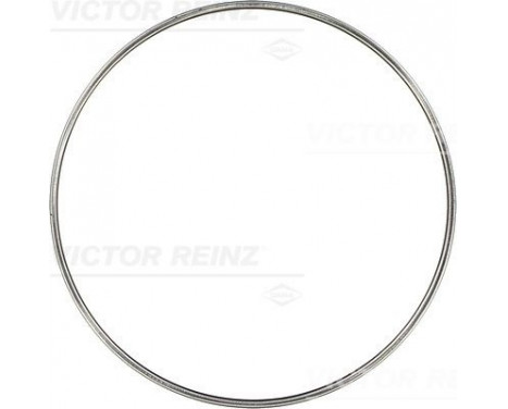 Gasket, cylinder head 71-29154-00 Viktor Reinz