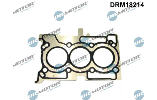 Gasket, cylinder head