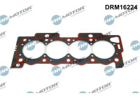 Gasket, cylinder head