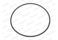 Gasket, cylinder liner LA5236 Payen