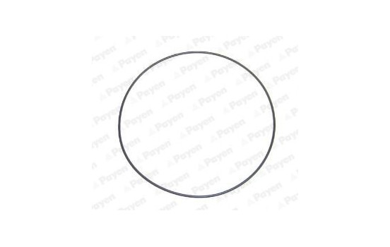 O-Ring, cylinder sleeve LA5237 Payen